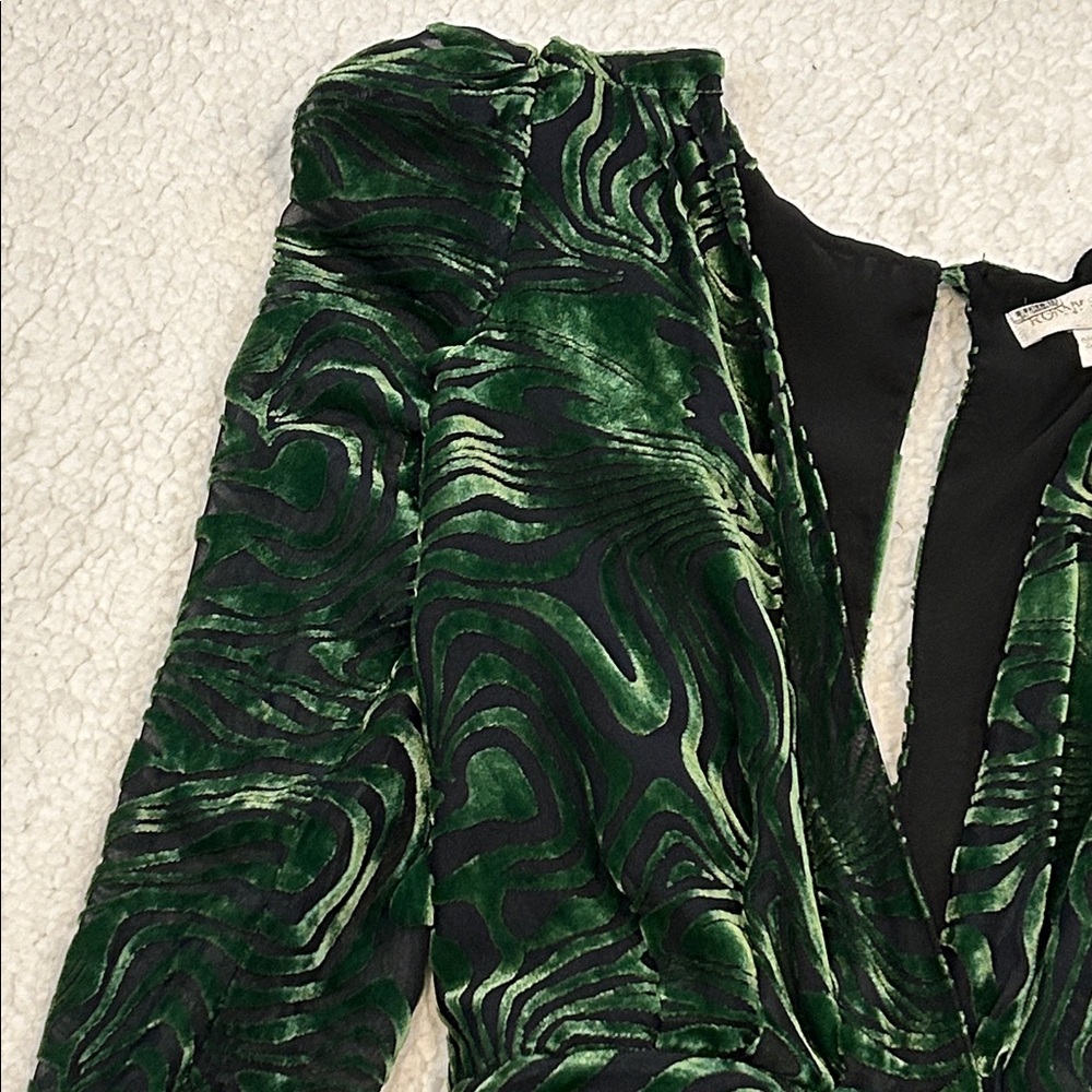 Ronny Kobo Astrid Dress size Small Burnout Velvet Green Black Silk Blend - Picture 4 of 16